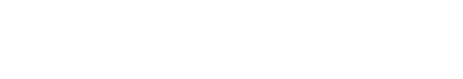 CyberSeg